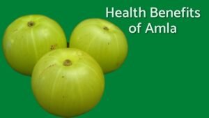 Ayurvedic Benefits of Amla: वजन बढ़ाने से लेकर त्वचा और बालों तक, जानें आंवले के अचूक फायदे