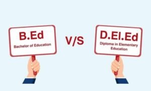 CG Education News: B.Ed और DL.Ed विवाद पर हाईकोर्ट का बड़ा निर्णय, शिक्षकों के भविष्य को लेकर आई नई दिशा