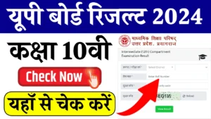 UP Board Result 2024: रोल नंबर से चेक करें यूपी बोर्ड 10वीं और 12वीं का रिजल्ट